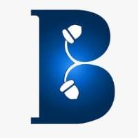 Brandingnuts Digital Marketing Agency Brandingnuts